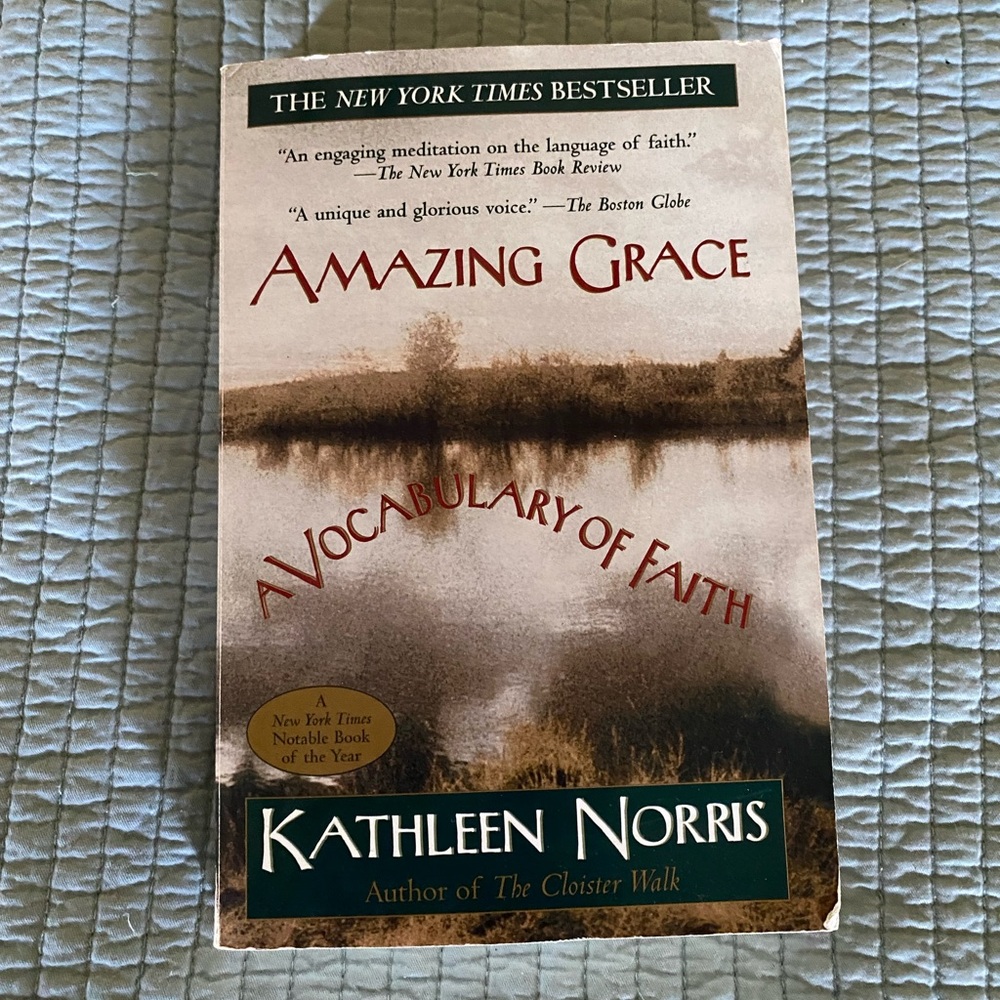 Amazing Grace A Vocabulary Of Faith Paperback Book by Kathleen Norris